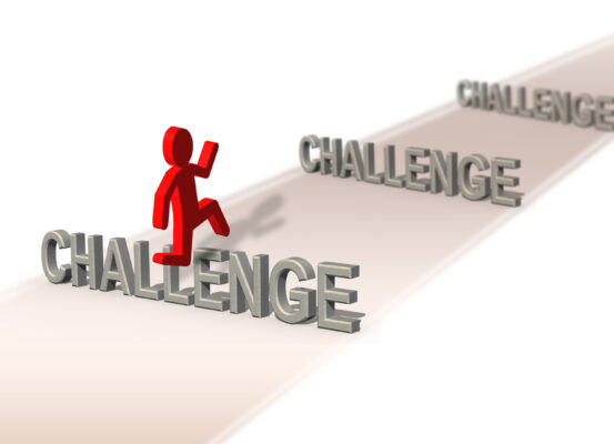 challenges of implementation an hrms
