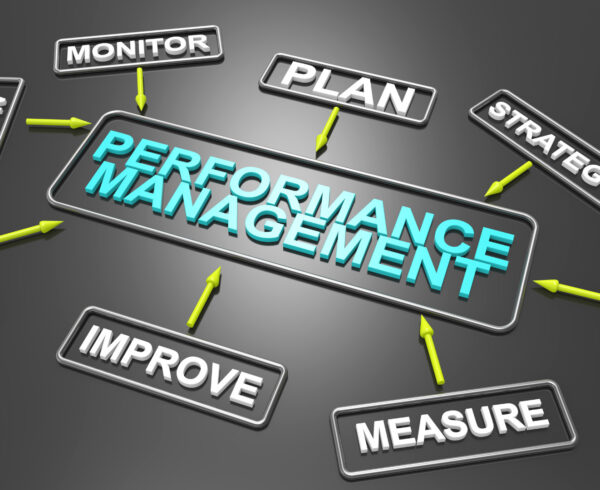 How does HRMS Software Support Performance Management?